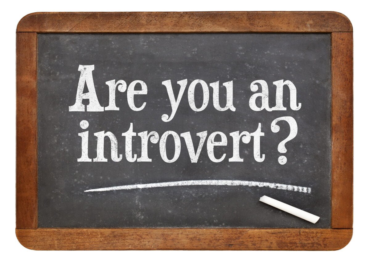 What Is An Introvert An Introvert s Guide To Introversion
