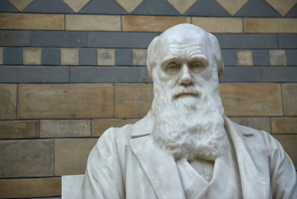 Statue of Charles Darwin