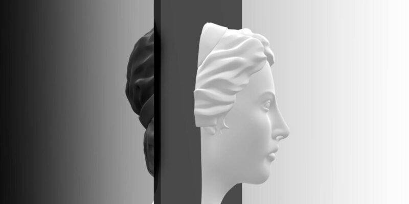 Bipolar split personality. Female with black divider. Concept of mental disease. 3D render