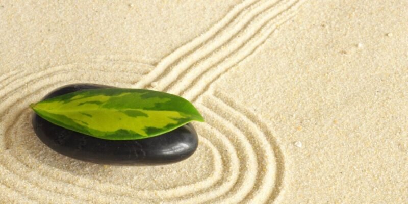 books about zen buddhism